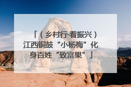 （乡村行·看振兴）江西铜鼓“小杨梅”化身百姓“致富果”