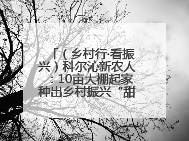 （乡村行·看振兴）科尔沁新农人：10亩大棚起家种出乡村振兴“甜蜜果”
