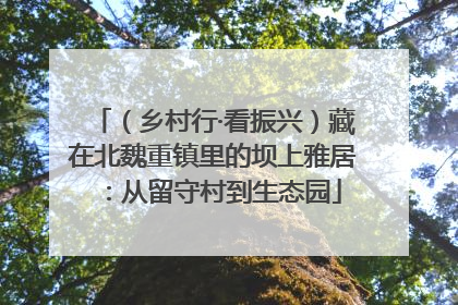 （乡村行·看振兴）藏在北魏重镇里的坝上雅居：从留守村到生态园