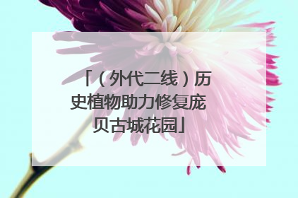 （外代二线）历史植物助力修复庞贝古城花园