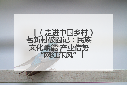 （走进中国乡村）茗新村破圈记：民族文化赋能 产业借势 “网红东风”
