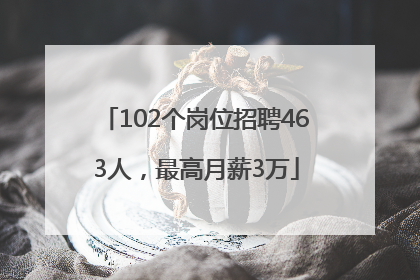 102个岗位招聘463人，最高月薪3万