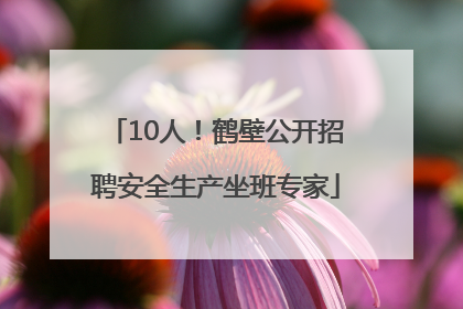 10人！鹤壁公开招聘安全生产坐班专家