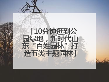 10分钟逛到公园绿地，新时代山东“百姓园林”打造五类主题园林