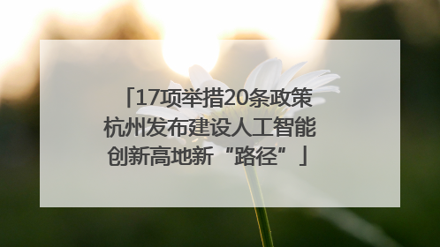 17项举措20条政策 杭州发布建设人工智能创新高地新“路径”