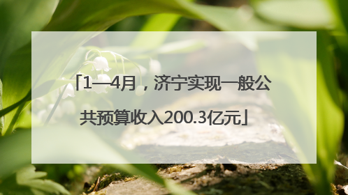 1—4月，济宁实现一般公共预算收入200.3亿元