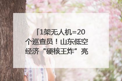 1架无人机=20个巡查员！山东低空经济“硬核王炸”亮相青岛，下一个万亿赛道藏在这里