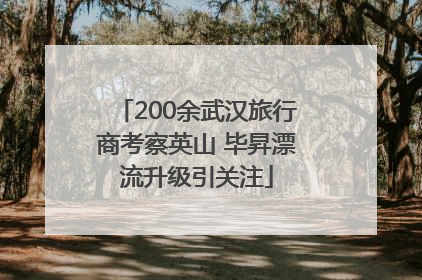 200余武汉旅行商考察英山 毕昇漂流升级引关注