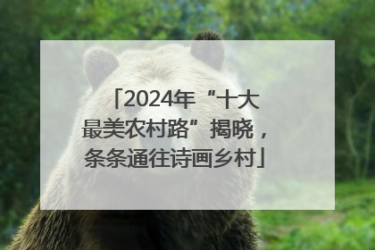 2024年“十大最美农村路”揭晓，条条通往诗画乡村