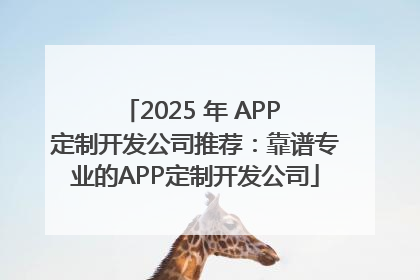 2025 年 APP 定制开发公司推荐：靠谱专业的APP定制开发公司