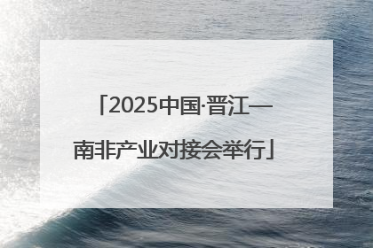 2025中国·晋江—南非产业对接会举行