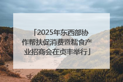 2025年东西部协作帮扶促消费暨糯食产业招商会在贞丰举行