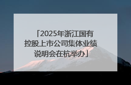 2025年浙江国有控股上市公司集体业绩说明会在杭举办