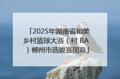 2025年湖南省和美乡村篮球大赛（村 BA）郴州市选拔赛闭幕