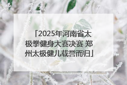 2025年河南省太极拳健身大赛决赛 郑州太极健儿载誉而归