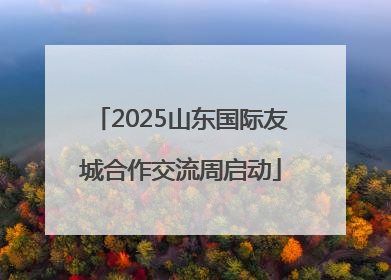 2025山东国际友城合作交流周启动
