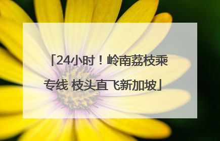 24小时！岭南荔枝乘专线 枝头直飞新加坡