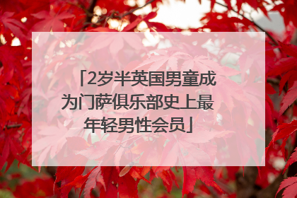2岁半英国男童成为门萨俱乐部史上最年轻男性会员