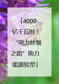 4000亿千瓦时！“电力丝绸之路”助力能源转型