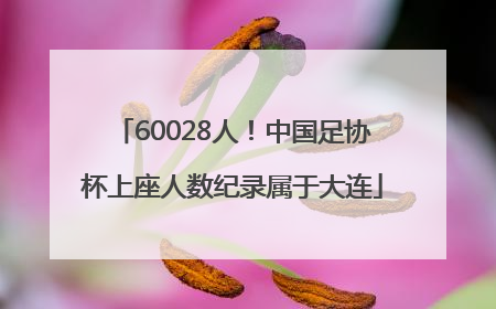 60028人！中国足协杯上座人数纪录属于大连