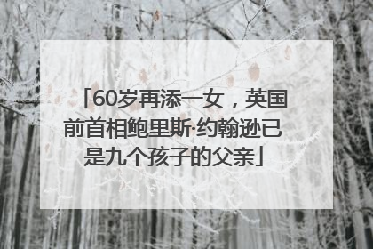 60岁再添一女，英国前首相鲍里斯·约翰逊已是九个孩子的父亲