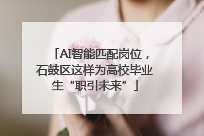AI智能匹配岗位，石鼓区这样为高校毕业生“职引未来”