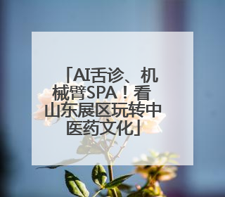 AI舌诊、机械臂SPA！看山东展区玩转中医药文化